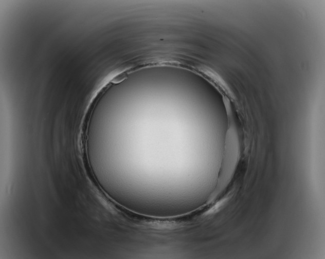 X0000086740893200704201703
