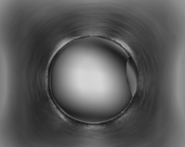 X0000086740894200704201703