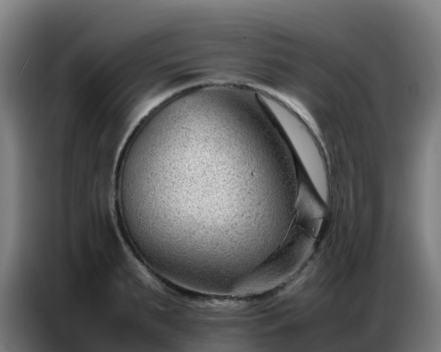 X0000086740895200704201703