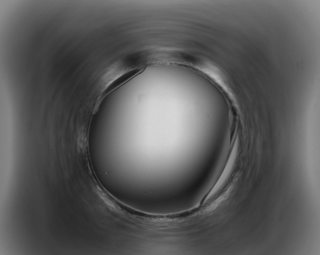 X0000086740897200704201703