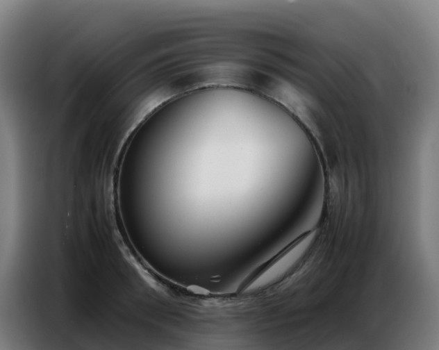 X0000086740898200704201703