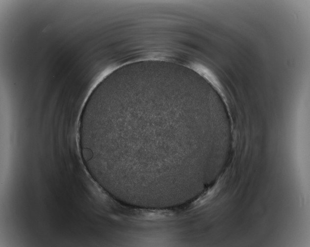 X0000086740899200704201703