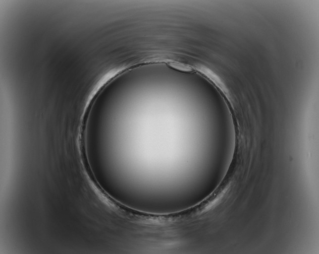 X0000086740901200704201703