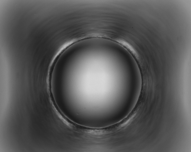 X0000086740902200704201703