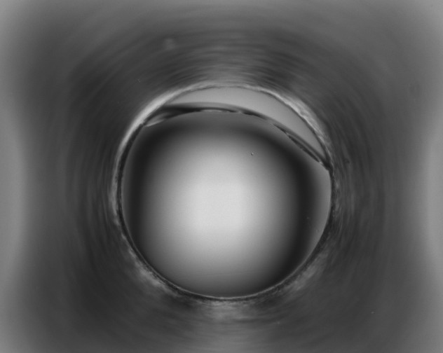 X0000086740904200704201703