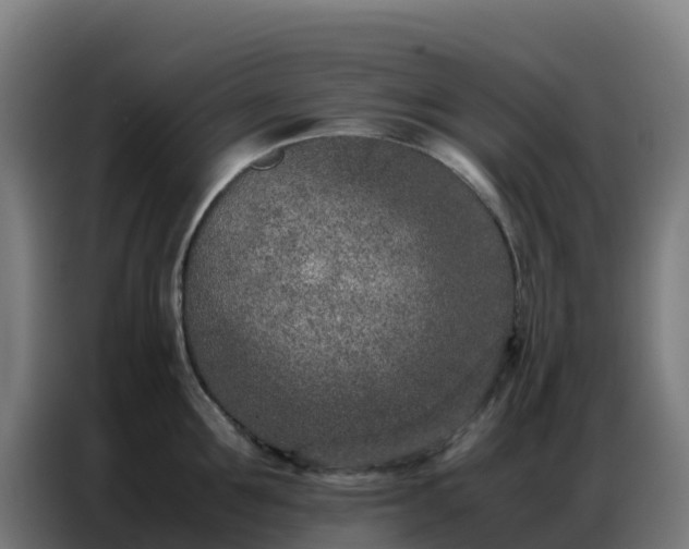 X0000086740907200704201703