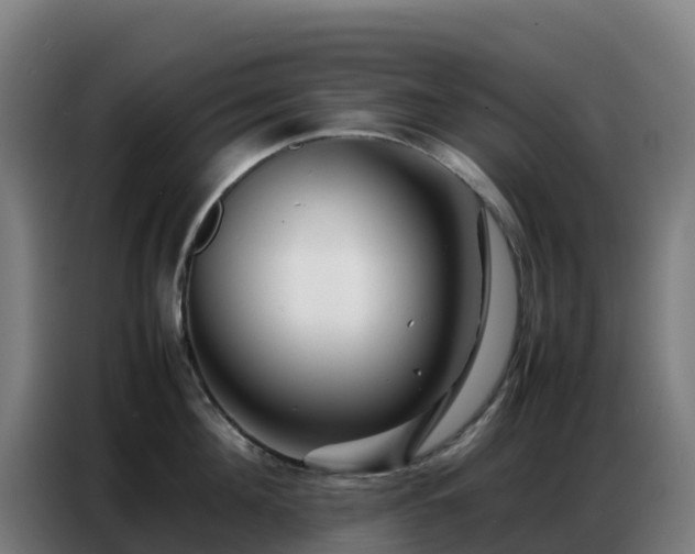X0000086740908200704201703