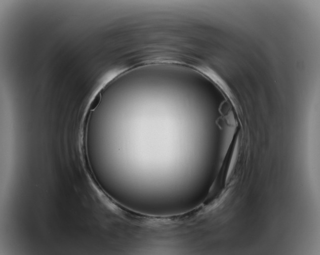 X0000086740909200704201703
