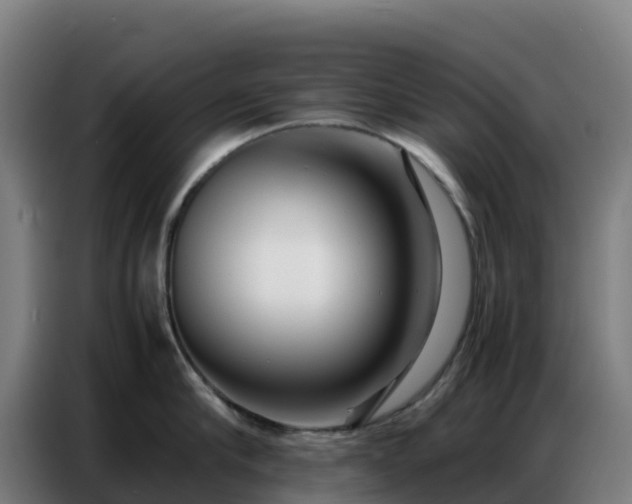 X0000086740910200704201703