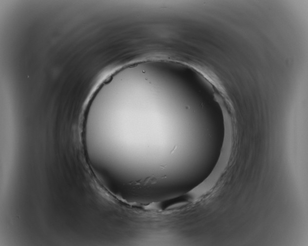 X0000086740912200704201703