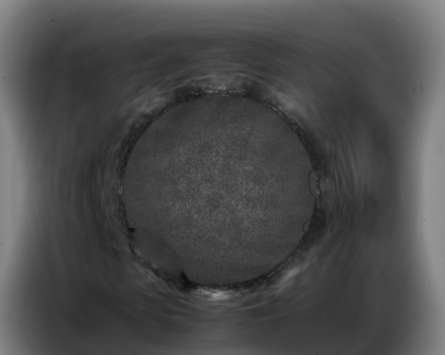 X0000086740913200704201702