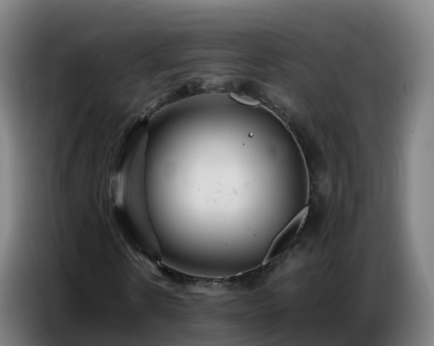 X0000086740914200704201702