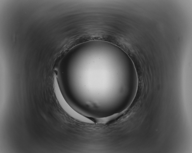 X0000086740916200704201702