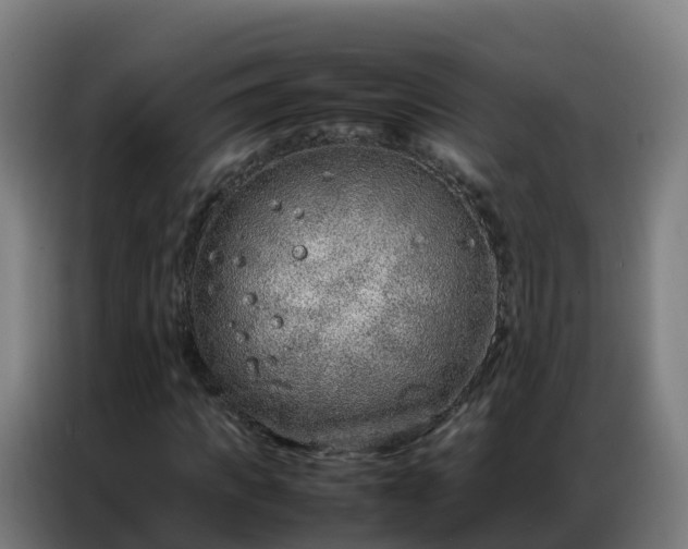 X0000086740917200704201702