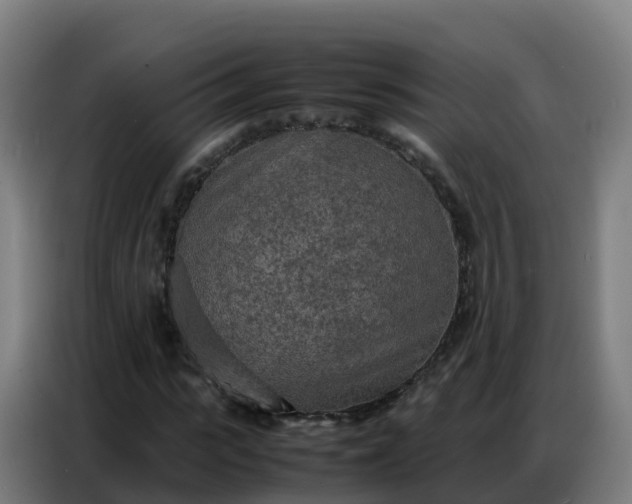 X0000086740919200704201703