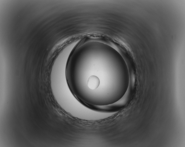 X0000086740920200704201703