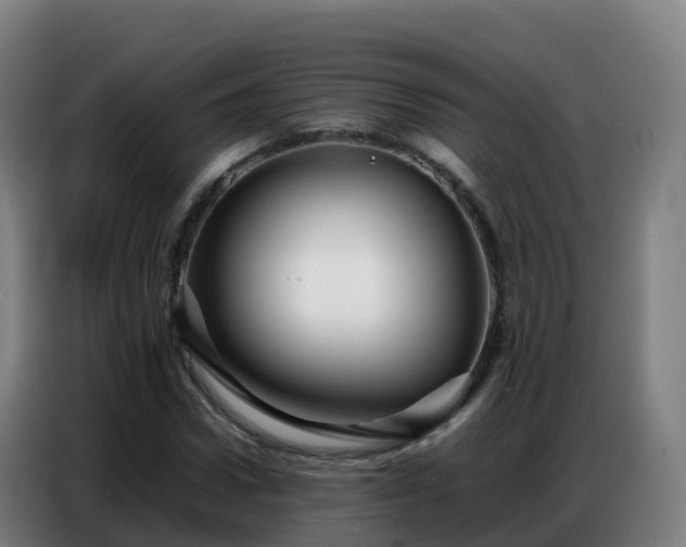 X0000086740922200704201703