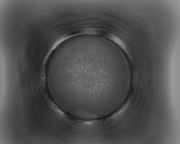 X0000086740923200704201703