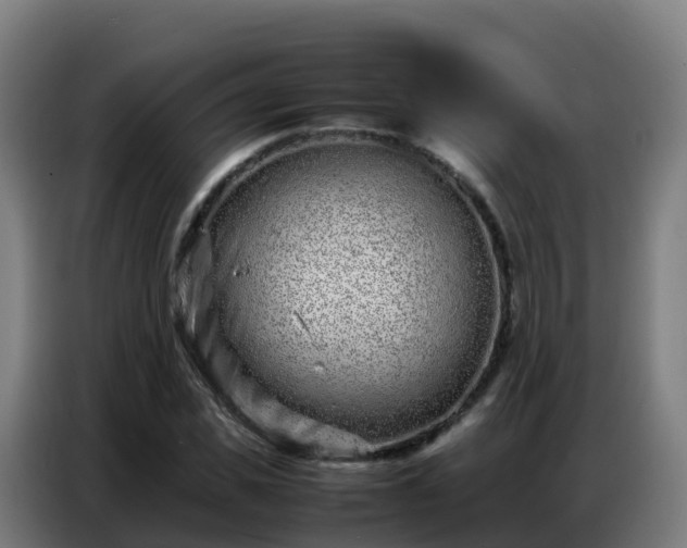 X0000086740925200704201703