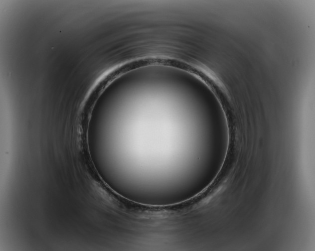 X0000086740926200704201703