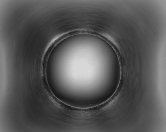 X0000086740927200704201703