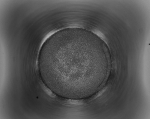 X0000086740928200704201703