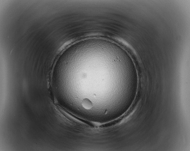 X0000086740929200704201703