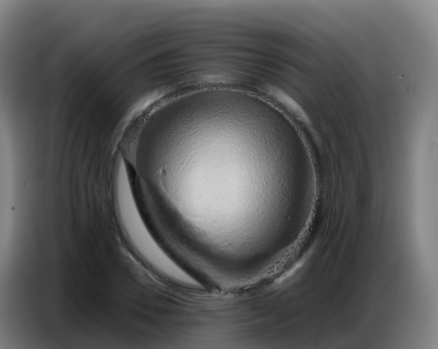 X0000086740930200704201703