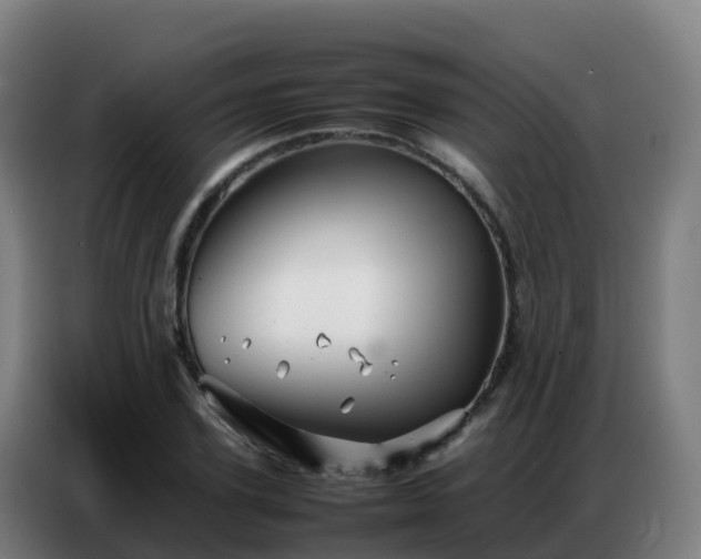 X0000086740931200704201703