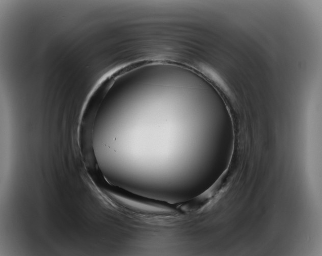 X0000086740932200704201703