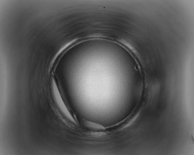 X0000086740933200704201703