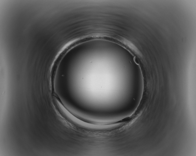 X0000086740934200704201703