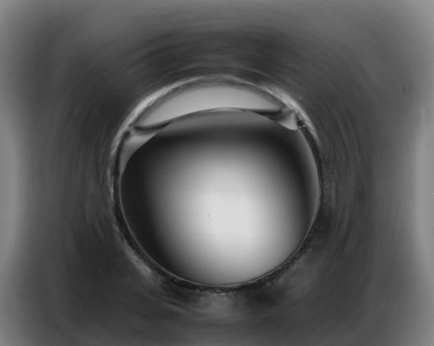 X0000086740935200704201703