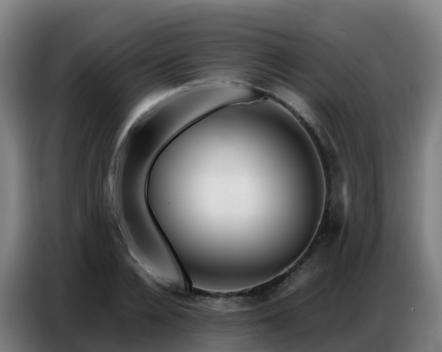 X0000086740936200704201703