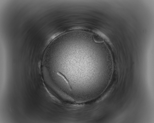 X0000086740937200704201703