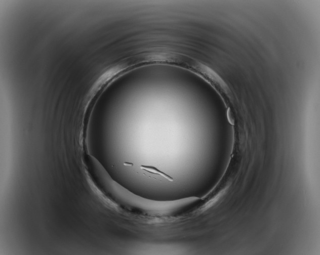 X0000086740938200704201703