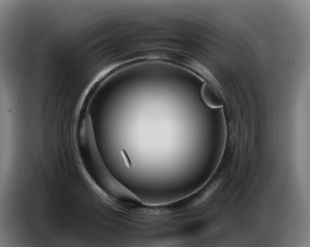 X0000086740939200704201703