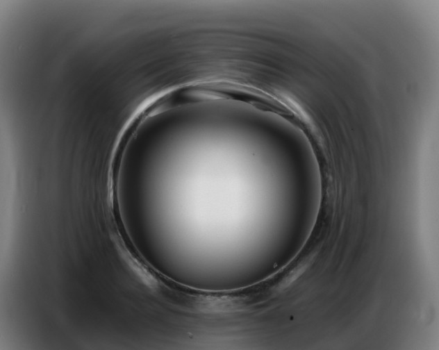 X0000086740940200704201703