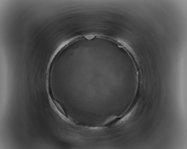 X0000086740941200704201703