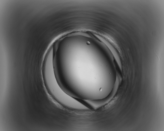 X0000086740942200704201703