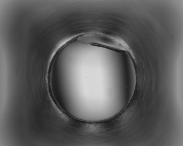 X0000086740943200704201703