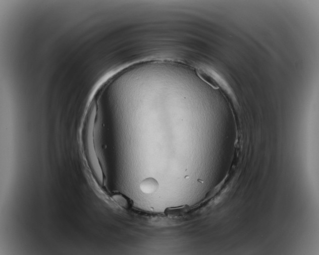 X0000086740944200704201703