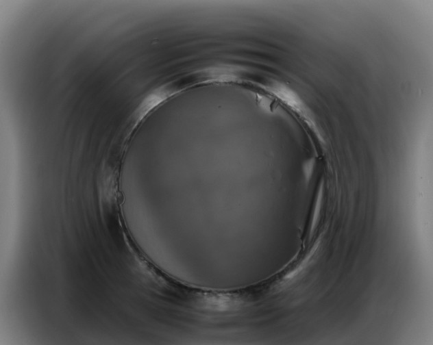 X0000086740945200704201703