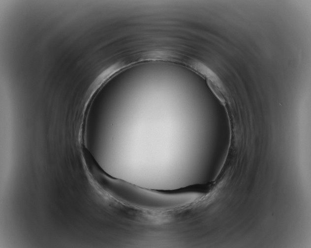 X0000086740946200704201703
