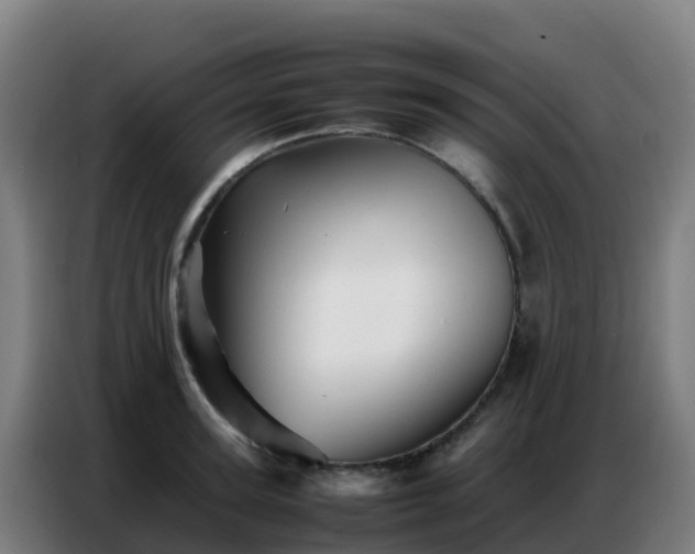 X0000086740947200704201703