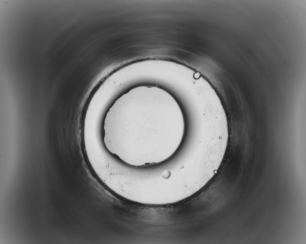 X0000086740950200704201703