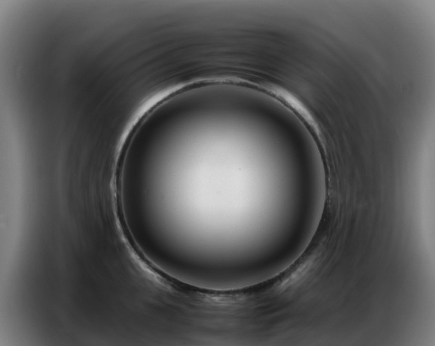 X0000086740951200704201703