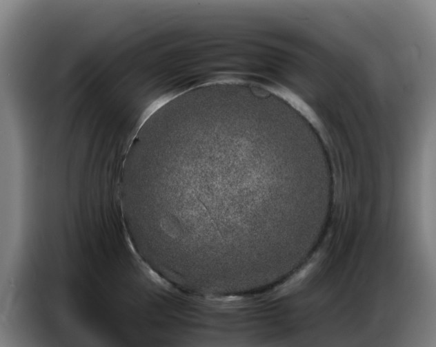 X0000086740953200704201703
