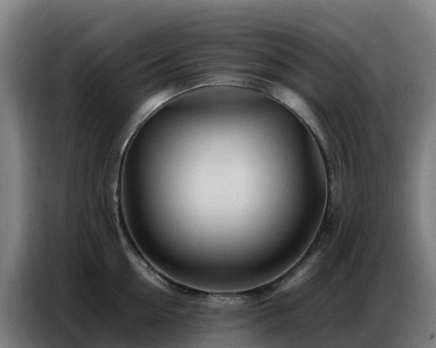 X0000086740954200704201703