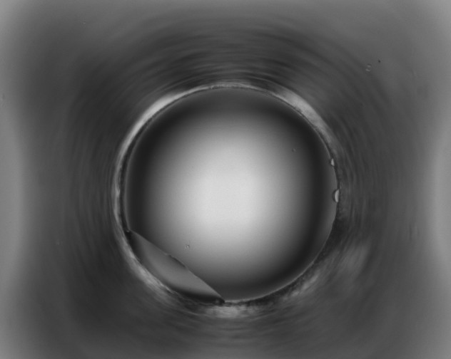X0000086740955200704201703